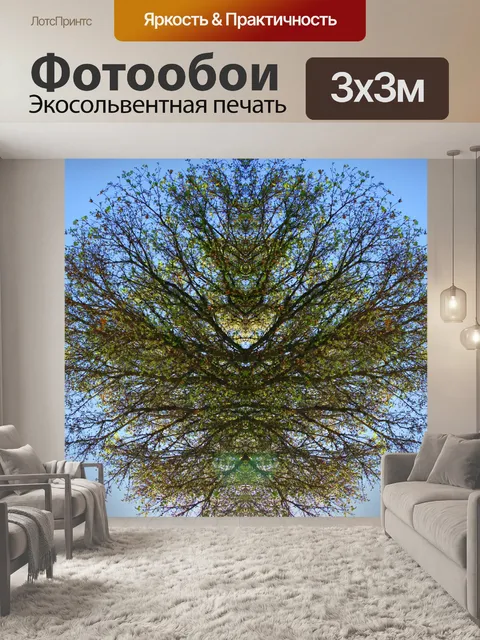 Фотообои ветка дерева отражение