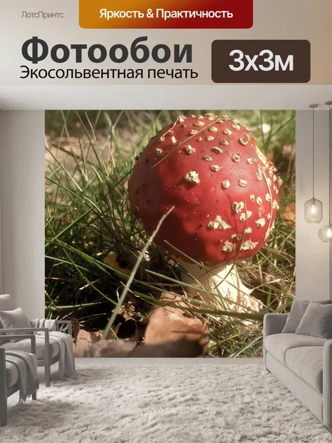 Фотообои Поганка