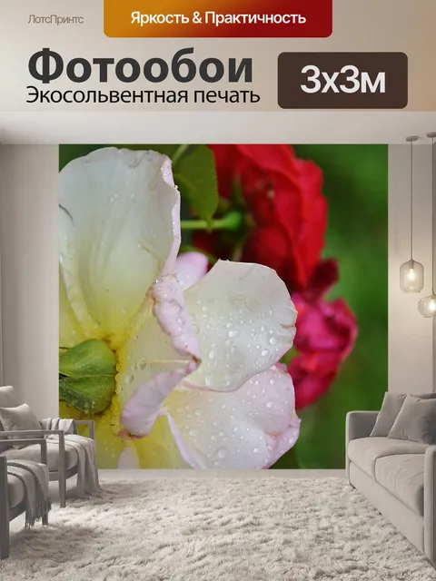 Фотообои Розы
