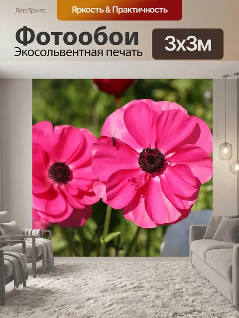 Фотообои Весенний цветок цветет