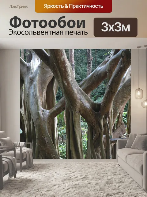 Фотообои Джунгли