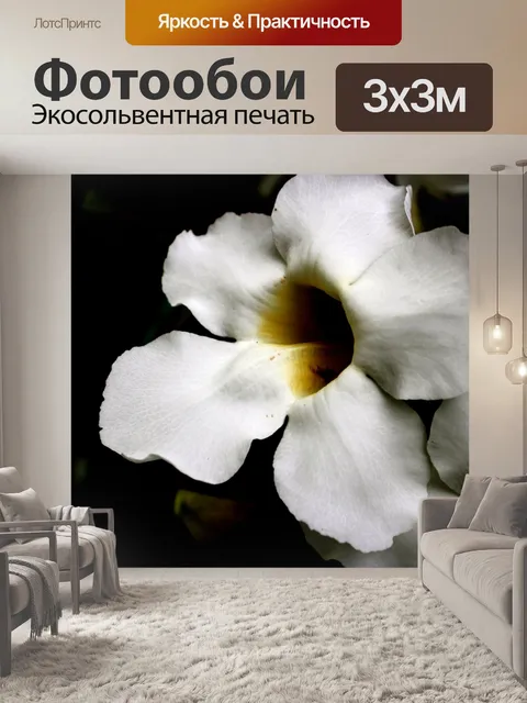 Фотообои Белые цветы