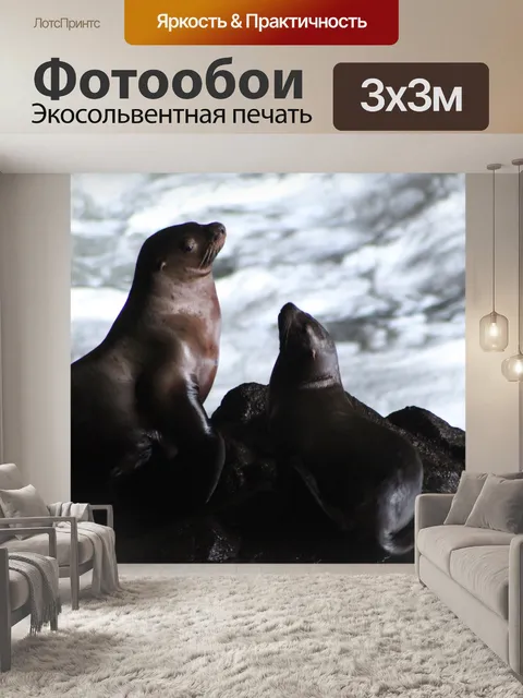 Фотообои Мать смотрит на щенка