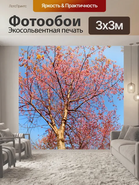 Фотообои Prunus cerasoides, дикая гималайская виш