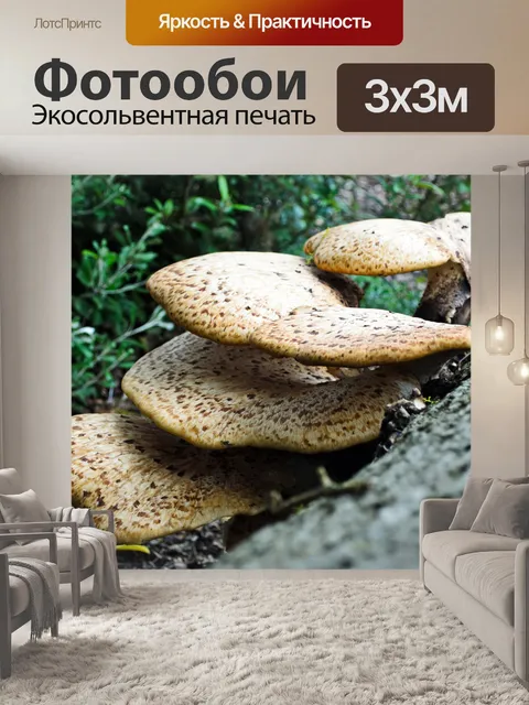 Фотообои Polypores