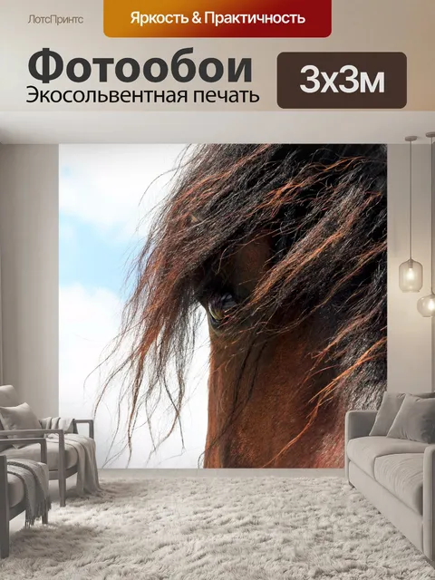 Фотообои Лошадь