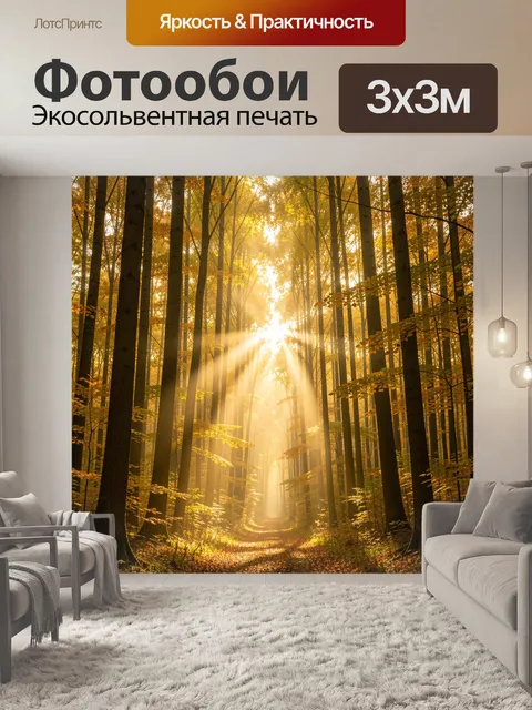 Фотообои Осенний лес с солнечными лучами