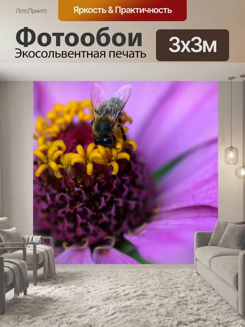 Фотообои Пчела