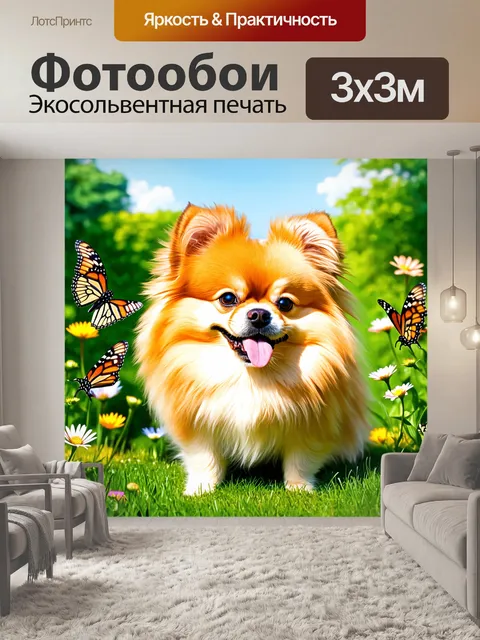 Фотообои померанский шпиц, наблюдающий за бабочками в цветущем саду в весенний день