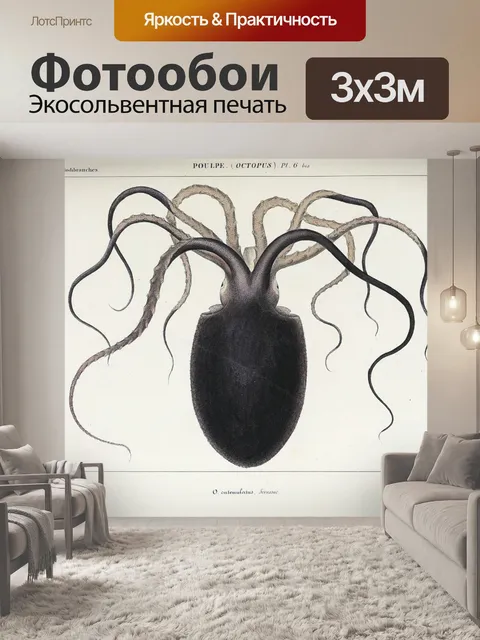 Фотообои Осьминог Кальмар Винтаж