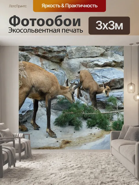 Фотообои Замша