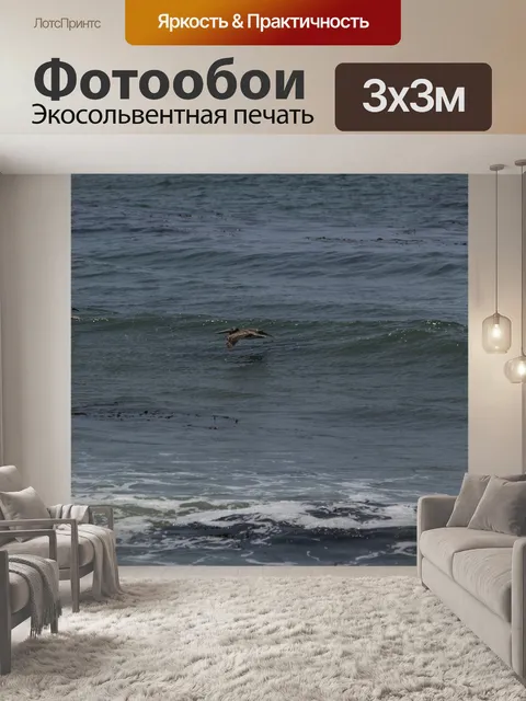 Фотообои Пеликан