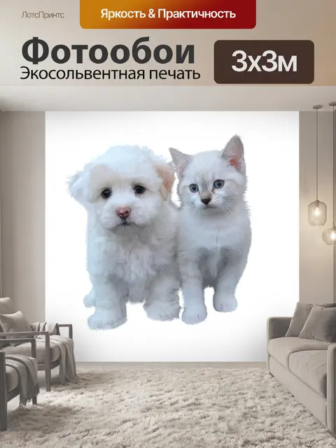 Фотообои Собаки и кошки свободны
