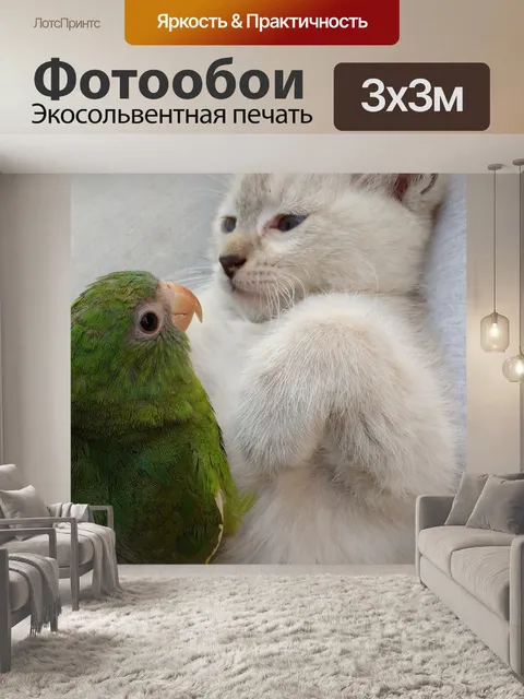 Фотообои Котенок