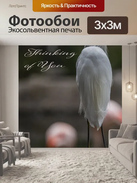 Фотообои Снежная белая цапля