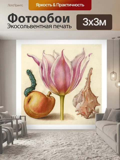 Фотообои Винтаж фруктов из ракушек