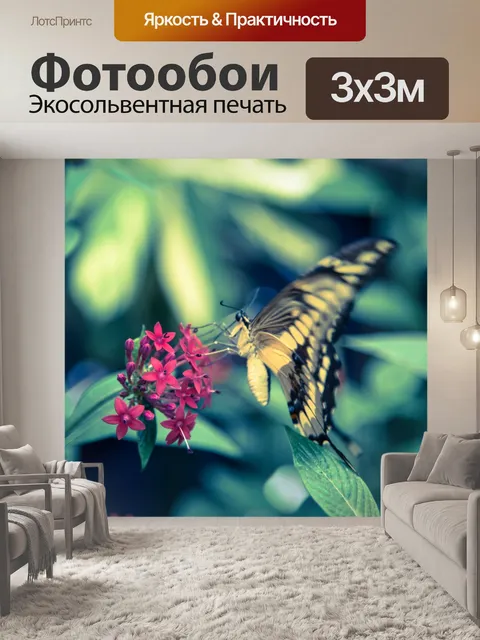Фотообои бабочка