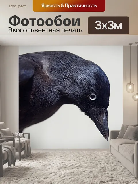 Фотообои Ворона