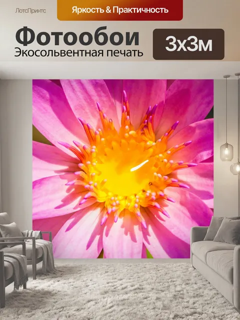 Фотообои цветок лотоса