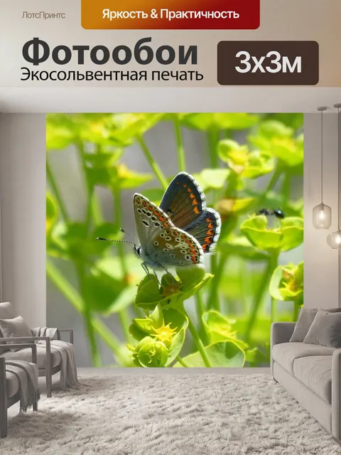 Фотообои Бабочка
