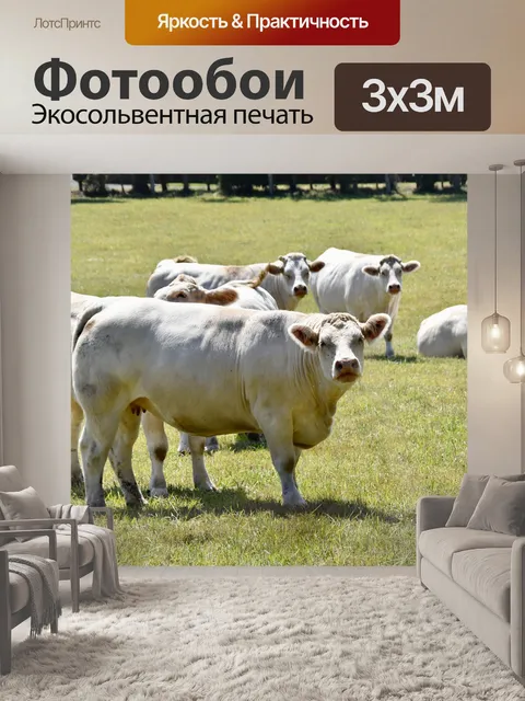 Фотообои Корова