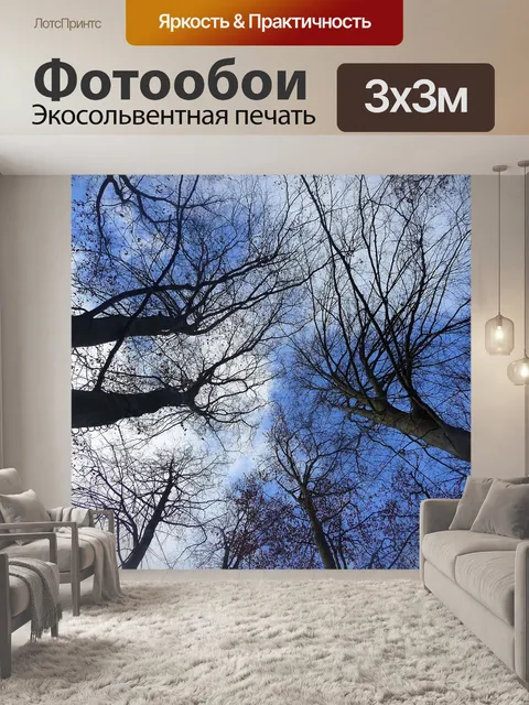 Фотообои Вуд