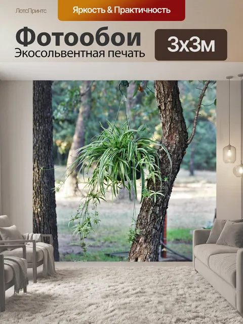 Фотообои Паук завод висит на дереве