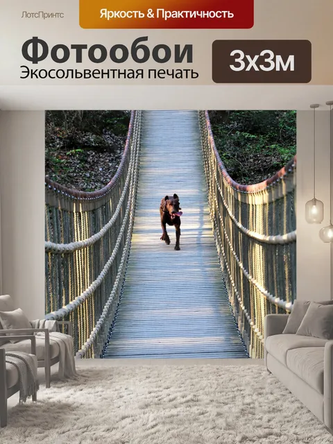 Фотообои Собака