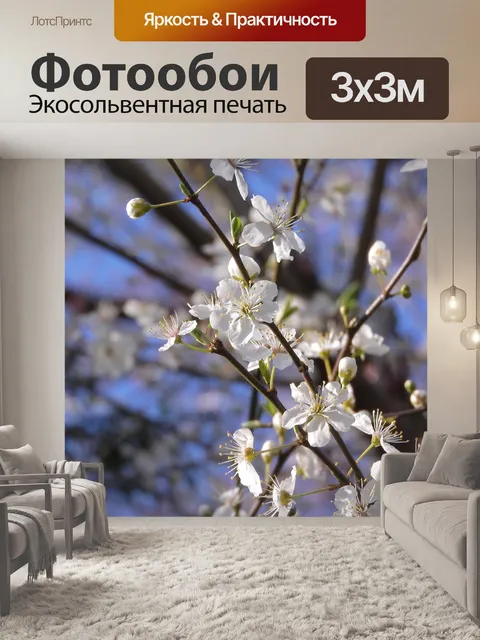 Фотообои Белые цветы