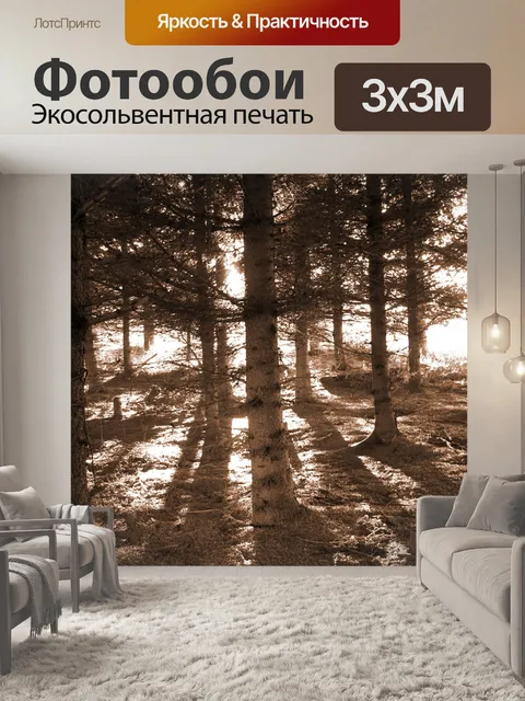 Фотообои В лесу