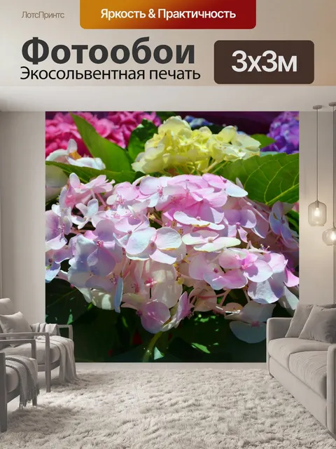 Фотообои Гортензия