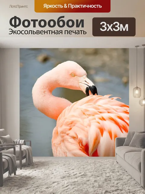 Фотообои Фламинго