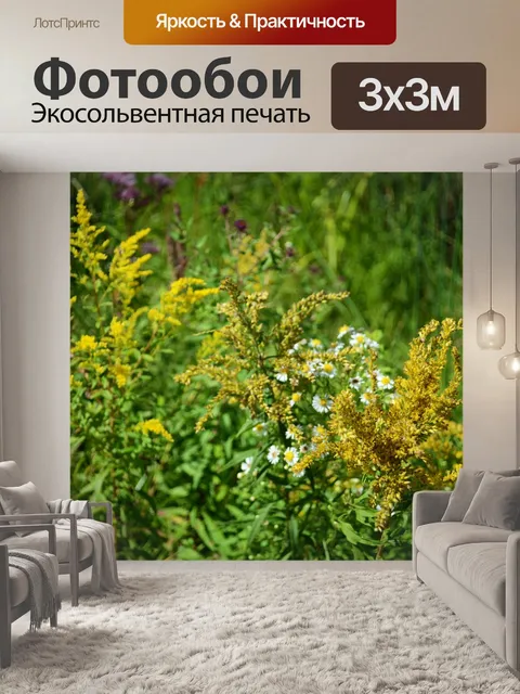 Фотообои Осенние цветы 2