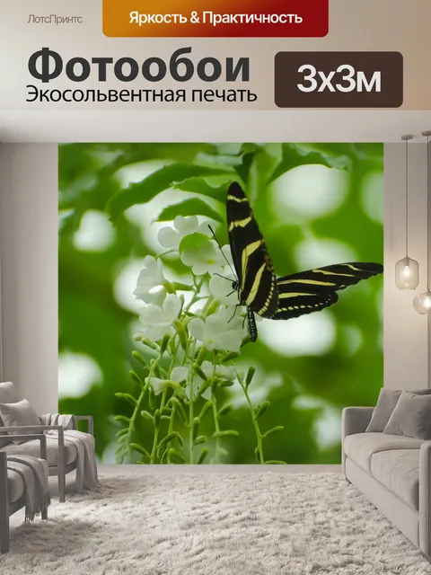 Фотообои бабочка