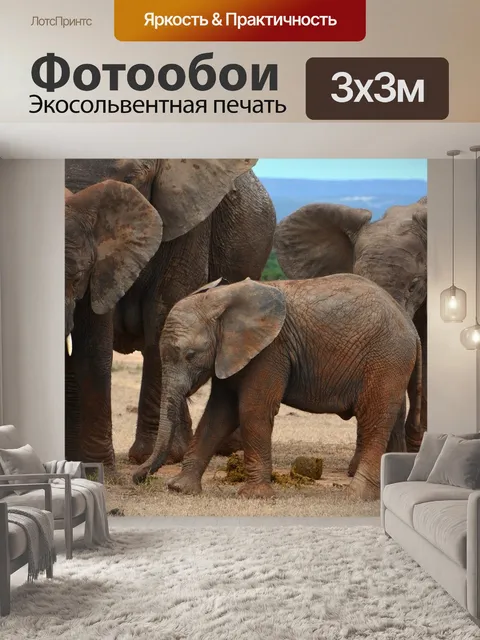 Фотообои Африке
