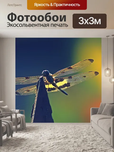 Фотообои Бабочки