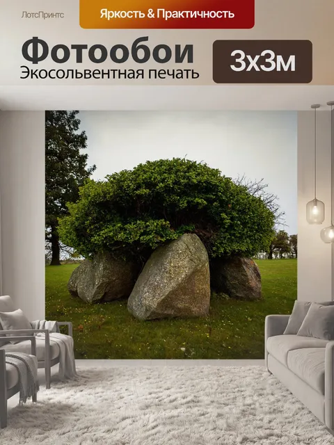 Фотообои камень, где показаны кусты, обвивающиеся вокруг крепких камней, словно крепость духа