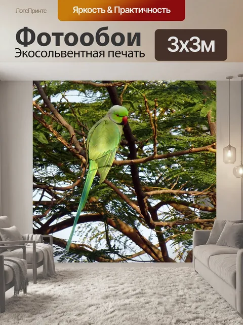 Фотообои Птица