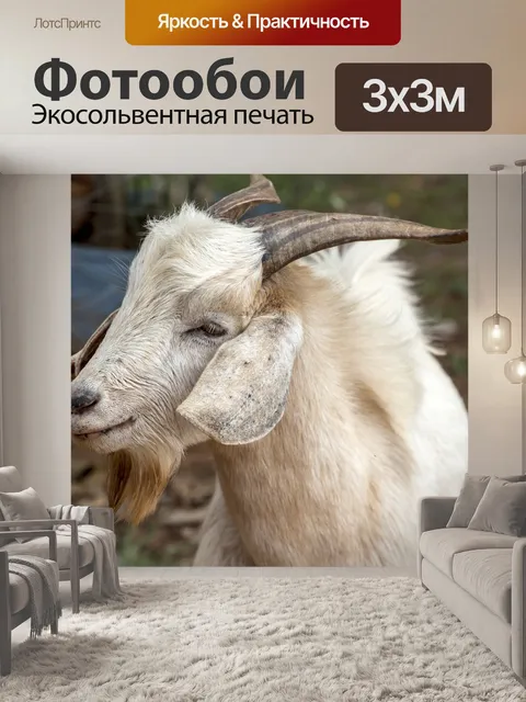 Фотообои Козел