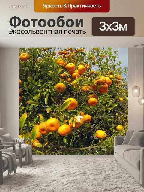 Фотообои Tangerine Tree