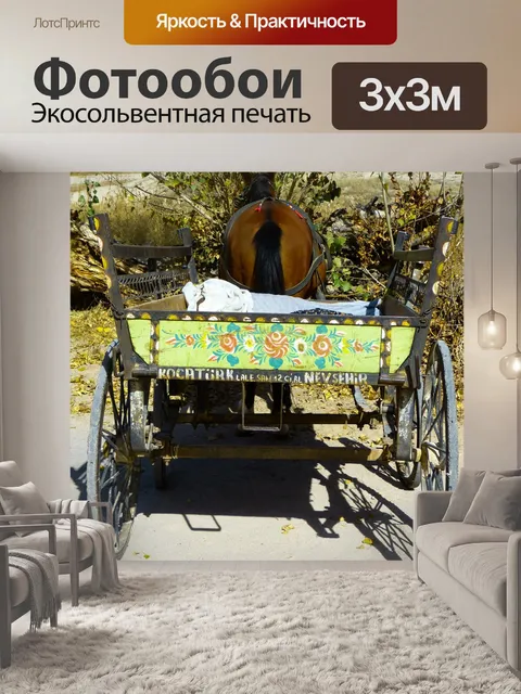 Фотообои Тренер