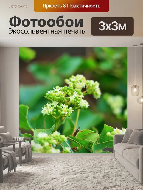 Фотообои скопление цветов и бутонов