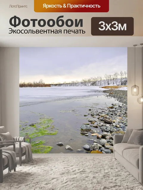 Фотообои Оттепель