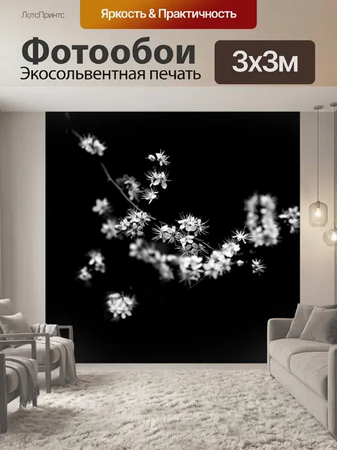 Фотообои Белые цветы на ветке