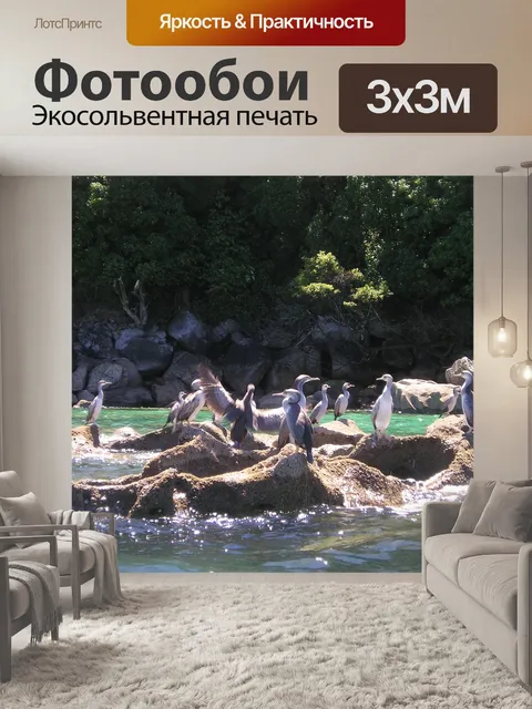 Фотообои Новая зеландия