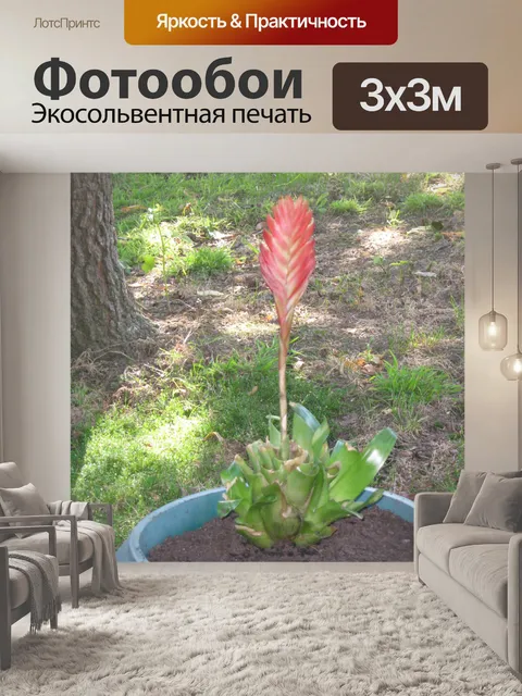 Фотообои Необычный
