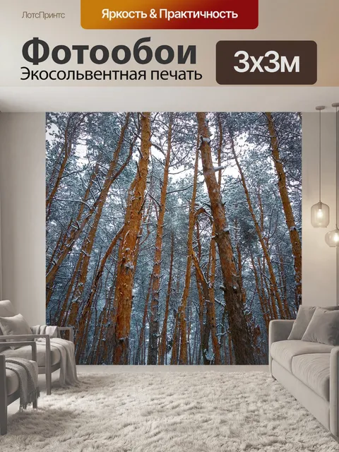 Фотообои Лес