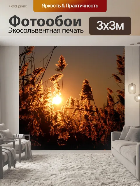 Фотообои Закат