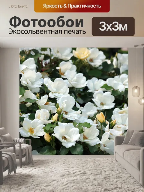 Фотообои Белые и Желтые Розы Полный Кадр