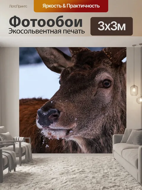 Фотообои Олень